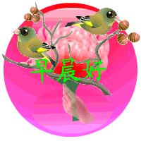 天堂纪念网