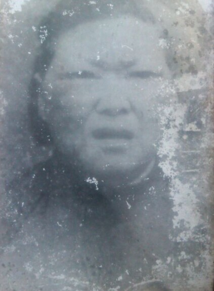 严书凤