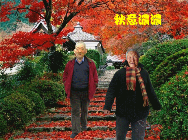 天堂纪念网