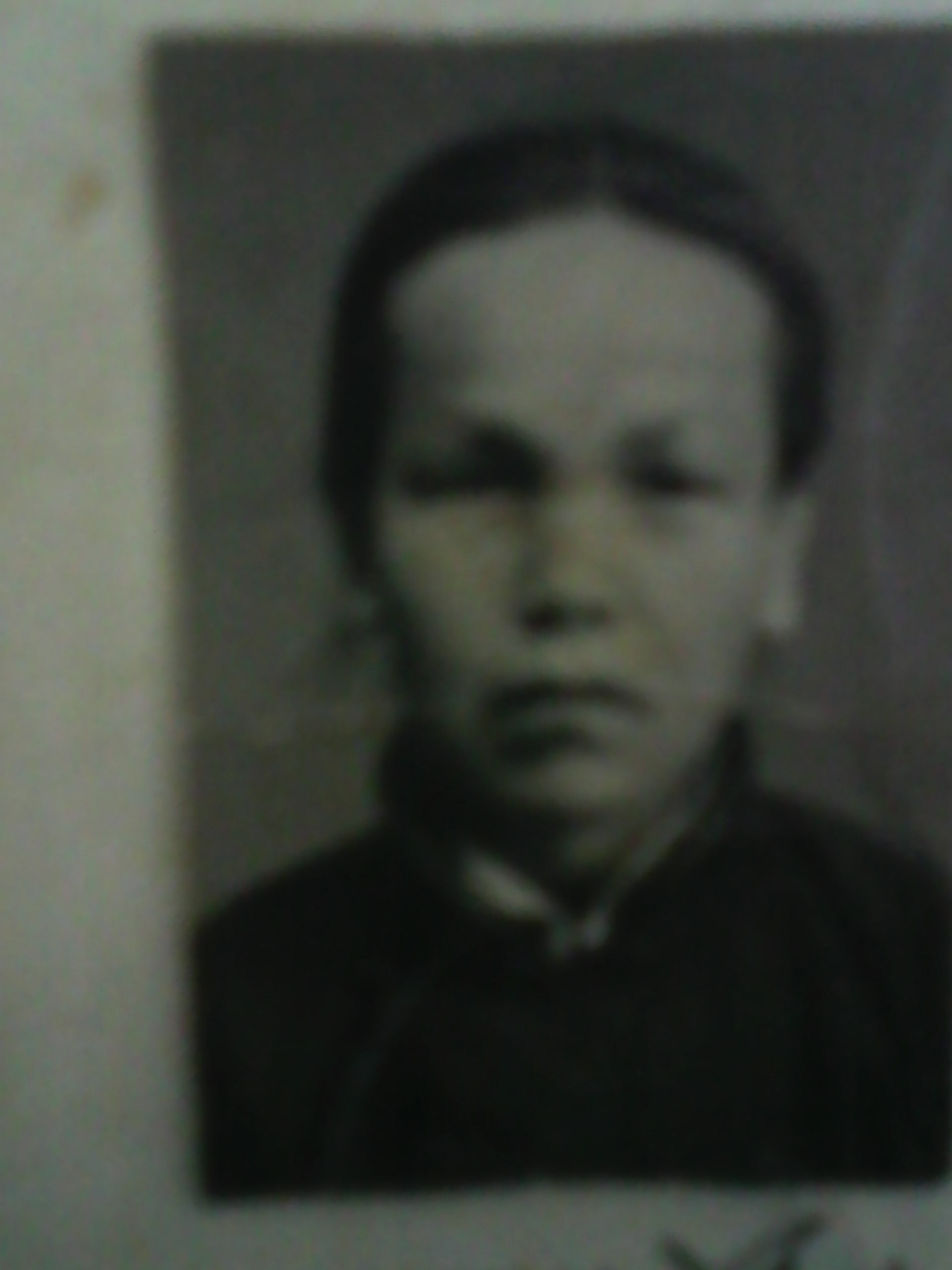 胡杨氏