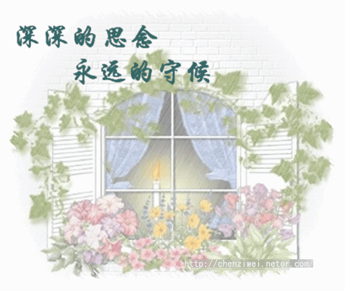 天堂纪念网