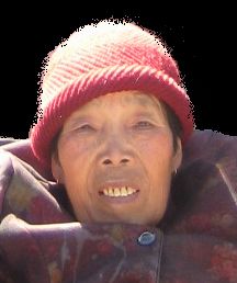 陈志华