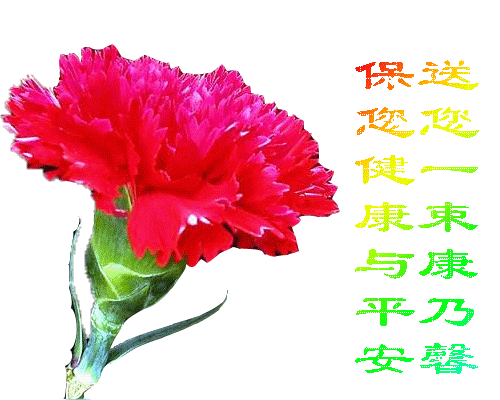 天堂纪念网