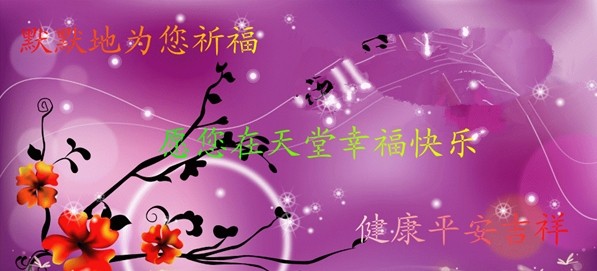 天堂纪念网