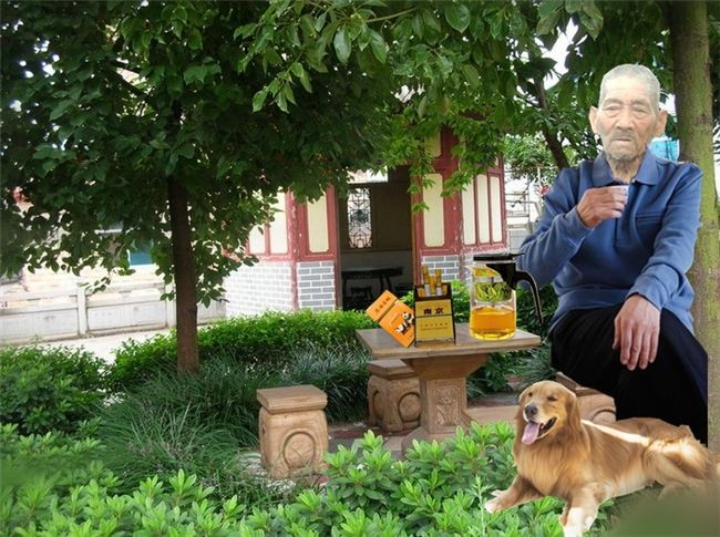 天堂纪念网