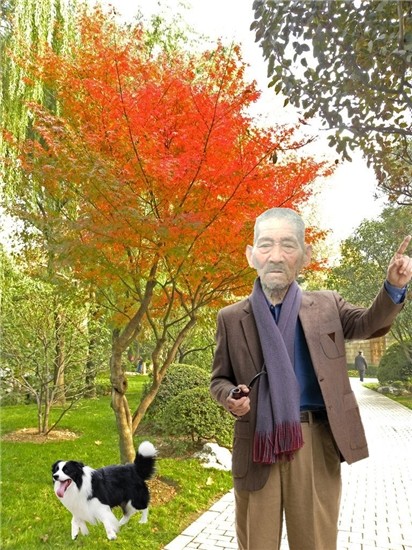天堂纪念网