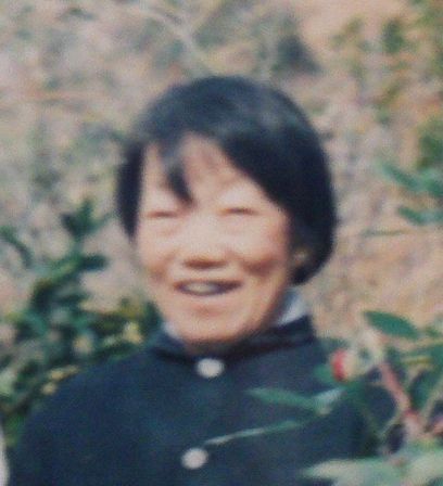 刘慧兰