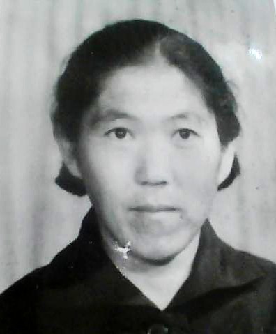 杨淑琴