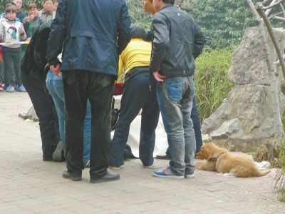 17岁女孩上吊身亡,"义犬八公"不吃不喝哀嚎守候