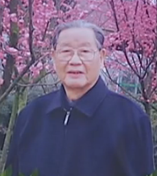 王黎之
