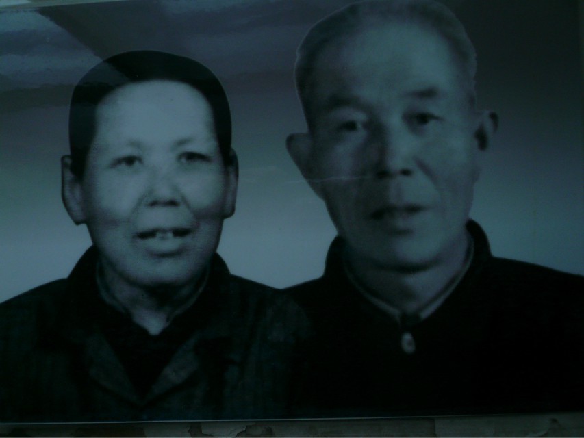 杨振清