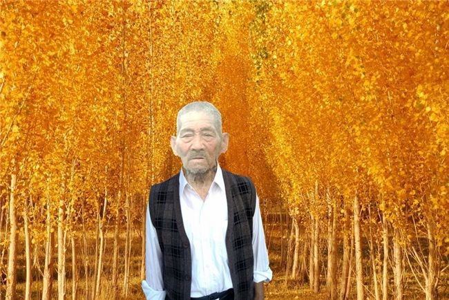天堂纪念网