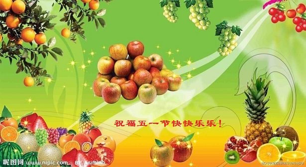 天堂纪念网