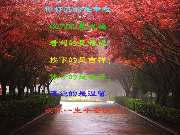 天堂纪念网