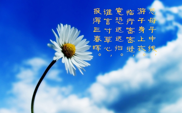 天堂纪念网