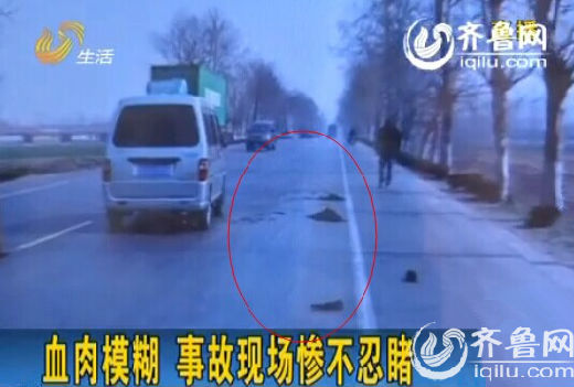 男子为与小三厮守用死狗伪造自己车祸死亡现场