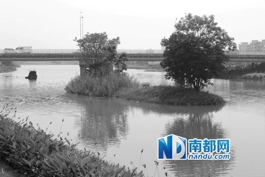 男子疑偷千元为躲警察追逐跳河身亡警方称曾救援