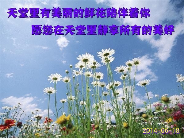 天堂纪念网