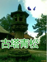 古塔青松