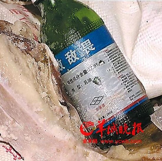 东莞一黑作坊用生蛆猪肉加敌敌畏制成毒腊肉