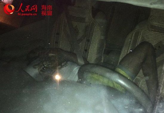 海口男子疑看世界杯醉酒窒息死亡车内现腐尸
