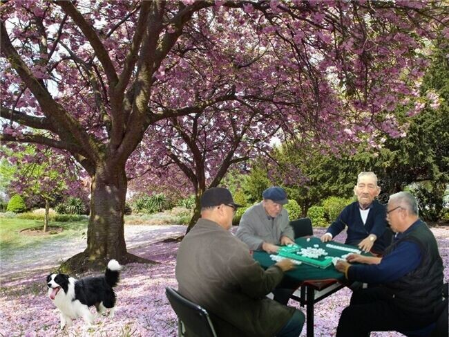 天堂纪念网