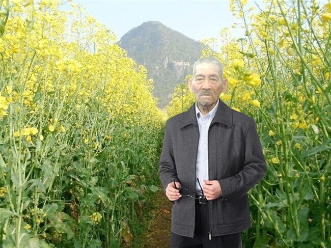 天堂纪念网