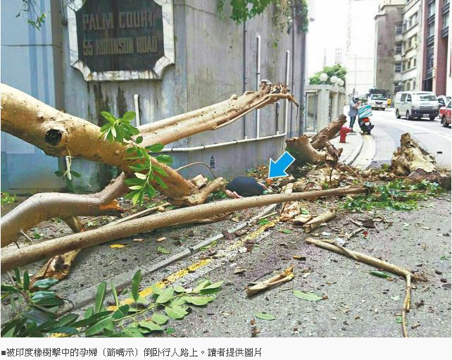 半山塌树压死孕妇,医生剖腹取胎38周男婴命危