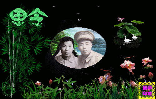 天堂纪念网