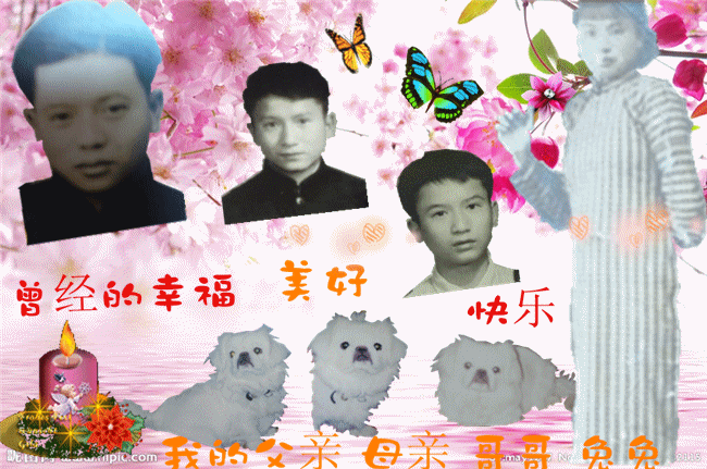 天堂纪念网