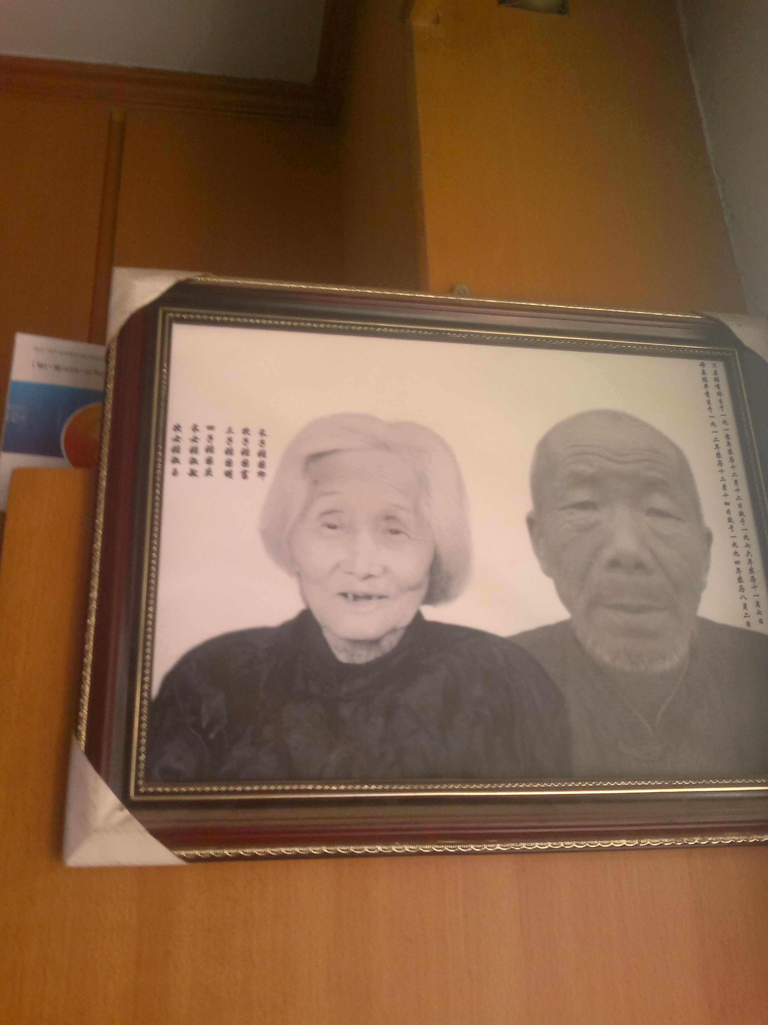 陈平秀