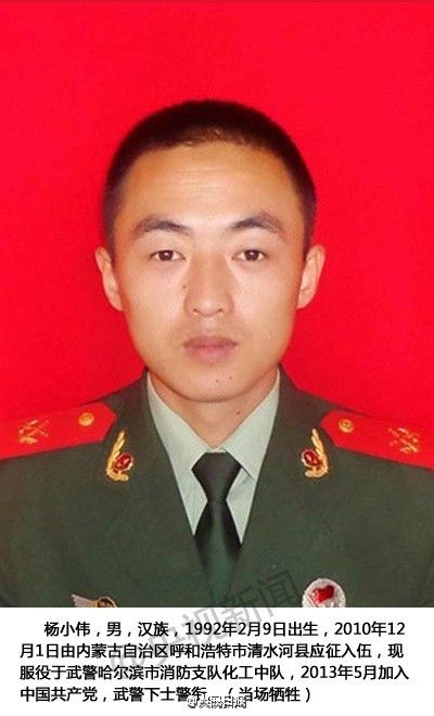 杨小伟