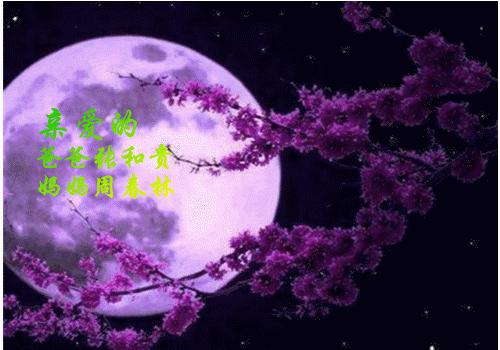 天堂纪念网