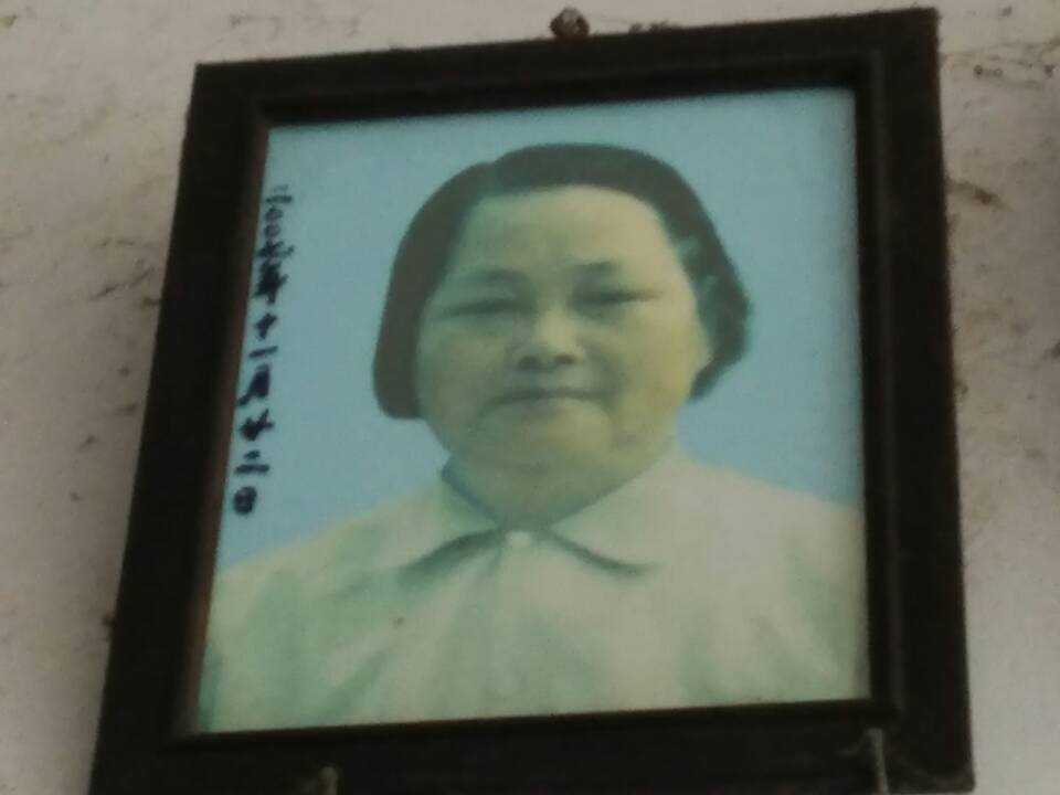 金掌英