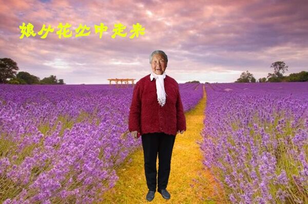 天堂纪念网