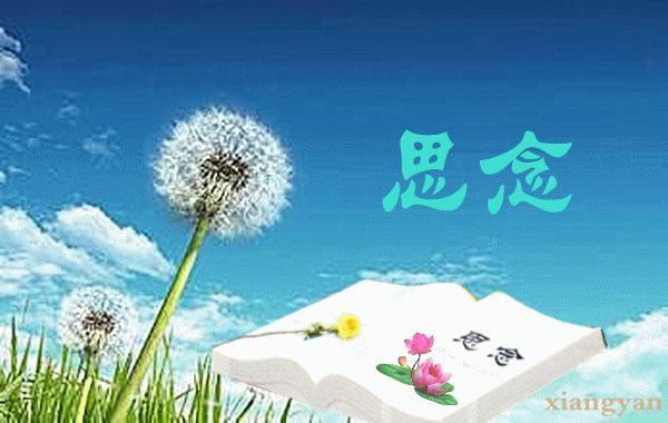 天堂纪念网