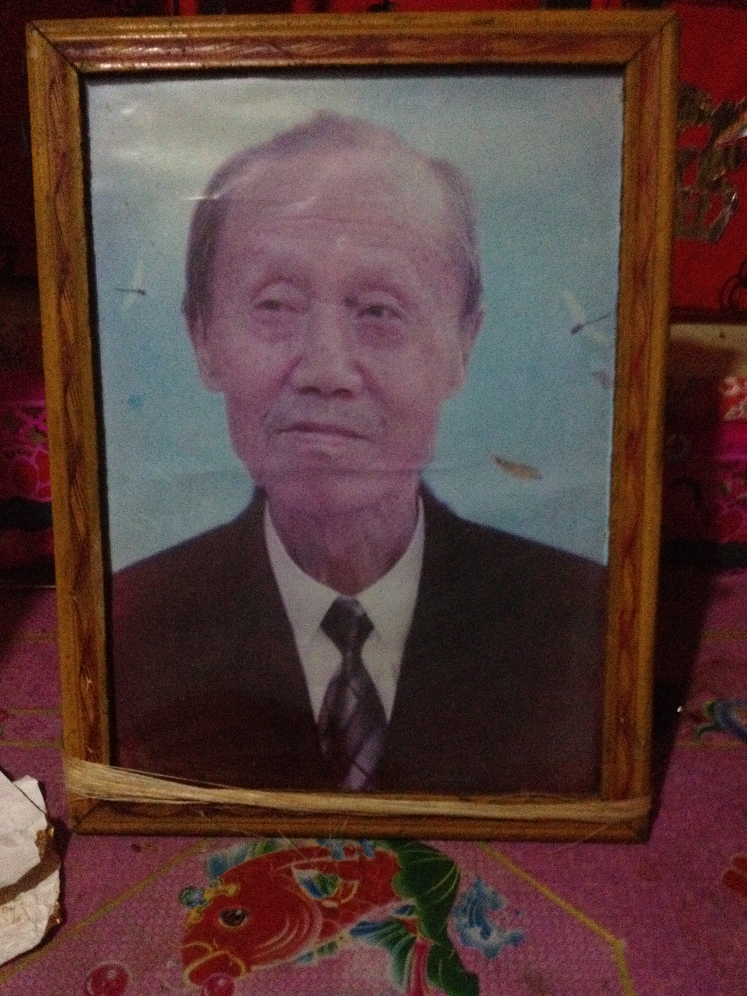 贾国豪