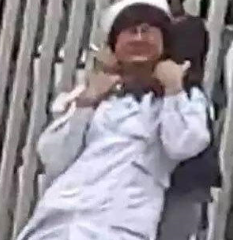 李海燕