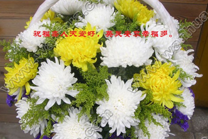 天堂纪念网