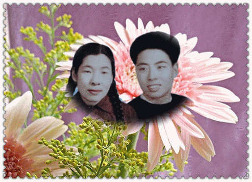 天堂纪念网