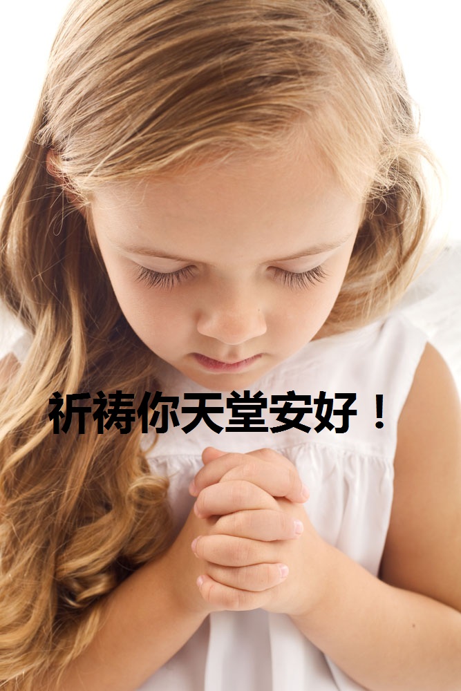 天堂纪念网
