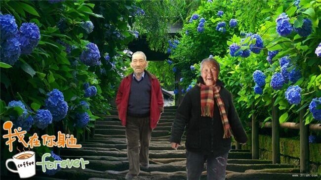 天堂纪念网