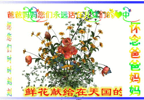 天堂纪念网