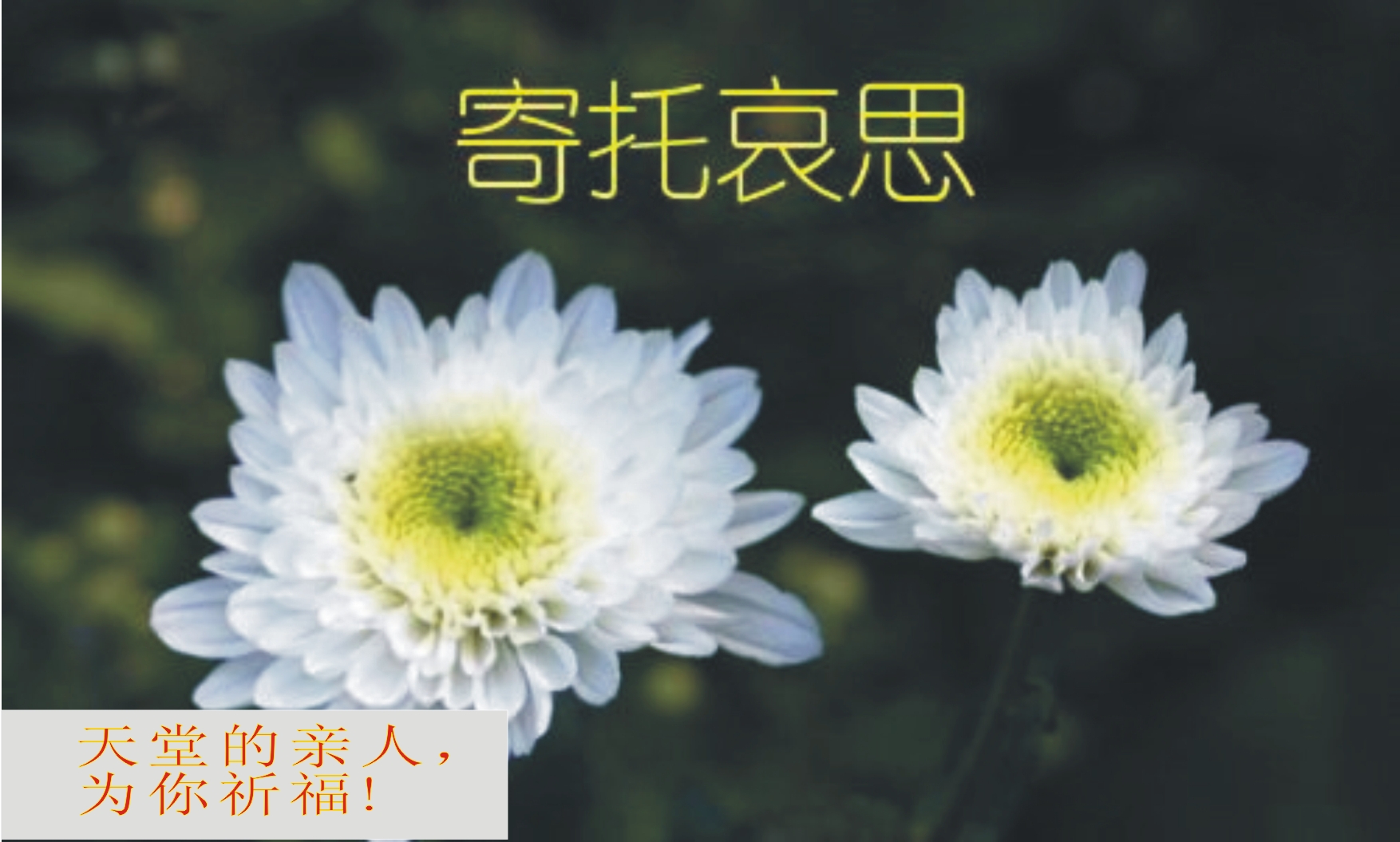 天堂纪念网
