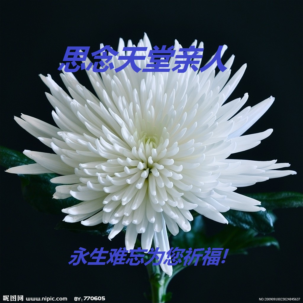 天堂纪念网