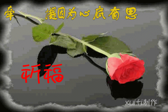 天堂纪念网