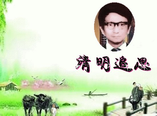 天堂纪念网