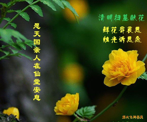 天堂纪念网