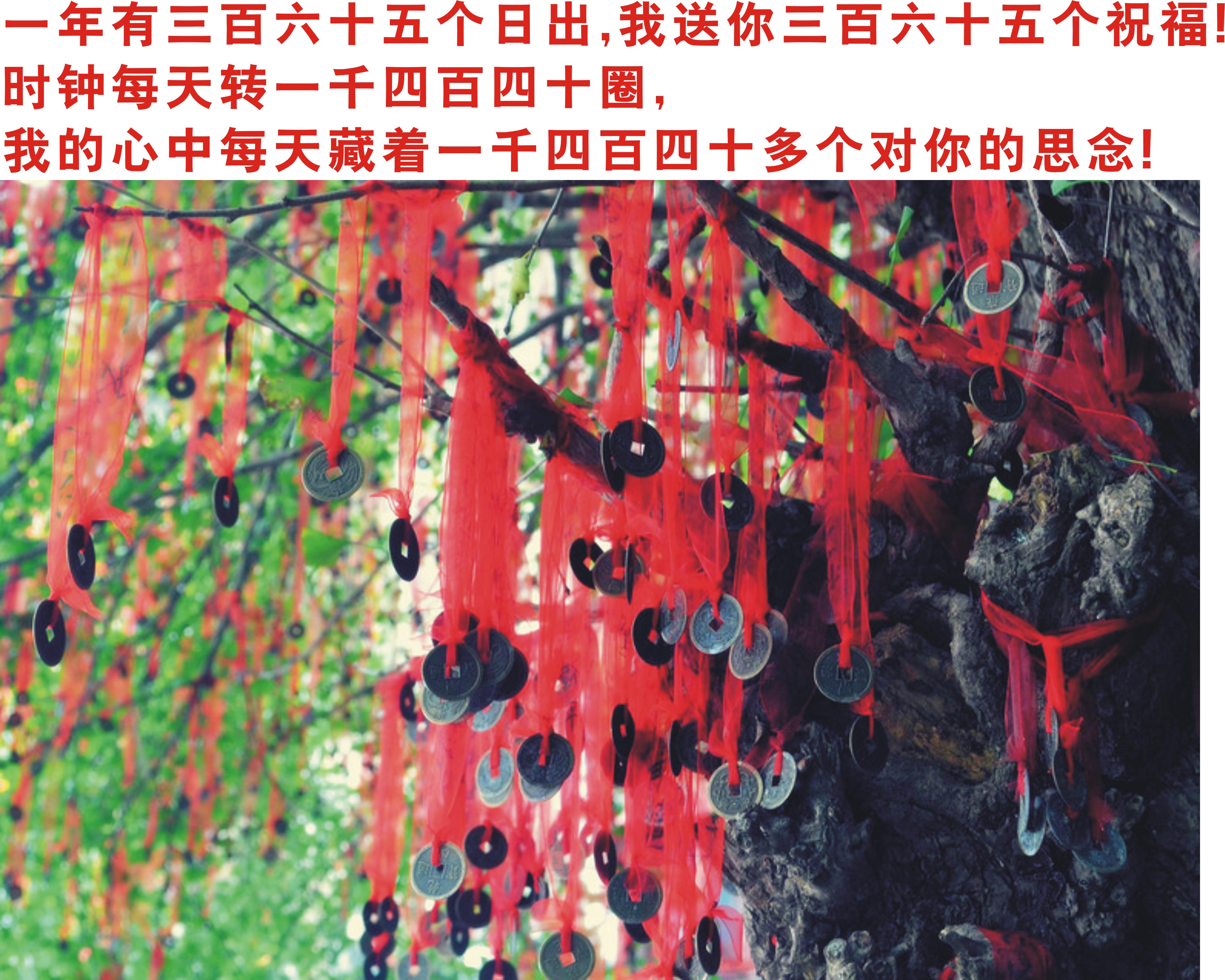 天堂纪念网