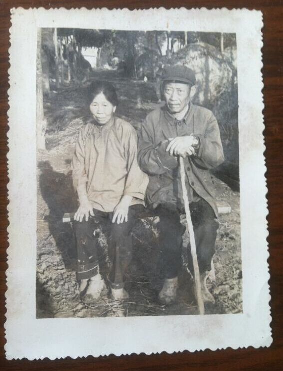 温宝华